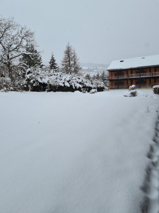 Studio A Xonrupt Proche Du Lac Экстерьер фото